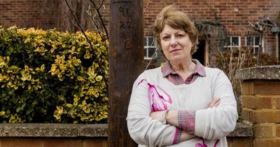 Woman's fury after 30ft BT broadband pole 'knocks £30,000 off value of £480,000 home'