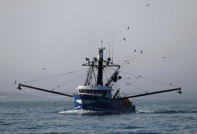 Fishermen sue to end industry-funded monitoring program