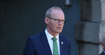 Simon Coveney says Foreign Affairs champagne party staff were 'happy' but 'tired'
