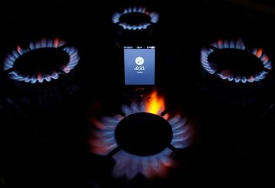 Ofgem ‘should have acted differently’ to ensure companies did not collapse