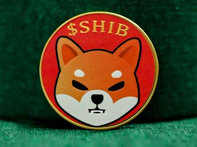 Shiba Inu Sees 450% Increase In Large Transactions Over 24 Hours