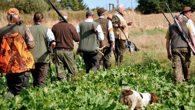 France launches new digital platform to tighten control on gun ownership