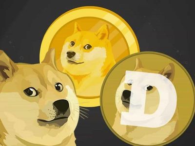 Major Dogecoin Purchase: BNB Whale Scoops Up 9M Doge Worth $1.4M