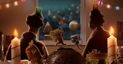 Oscar nomination for Robin Robin - Aardman Animations' Christmas film on Netflix