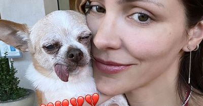 Katharine McPhee mourns death of beloved dog Wilma