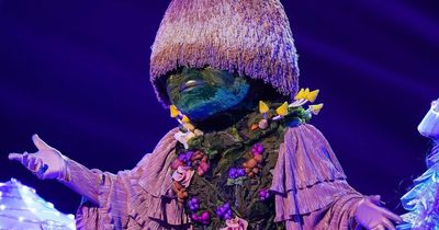 Masked Singer sleuth rumbles Mushroom identity after Dame Shirley Bassey ‘feud clue'