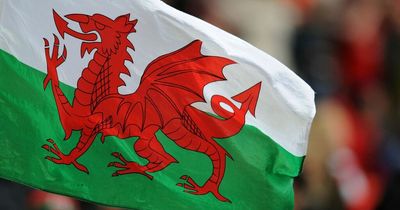 'Speaking Welsh doesn’t make me better than you but attack the language and I will fight back'