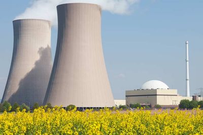 Taxonomic vandalism, EU-style