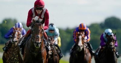 Mishriff bids to become highest earning racehorse ever by winning world's richest race