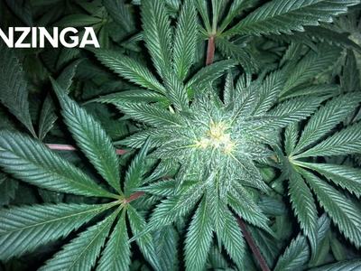 Cilo Cybin Founder Gabriel Theron Plans First African Cannabis SPAC