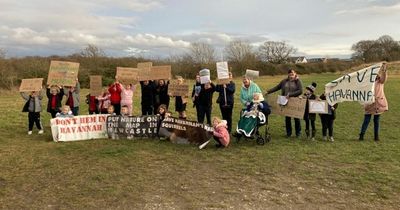 Green campaigners in despair over 'huge blow' to Newcastle wildlife from new developments