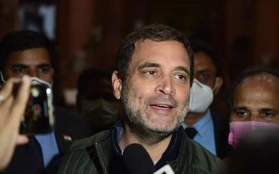 If you like abusing Jawaharlal Nehru, Congress, be my guest: Rahul Gandhi hits back at PM Modi