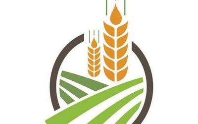 Step up agri-spending, boost farm incomes