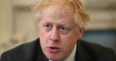 Boris Johnson's reshuffle dubbed 'heshuffle' as loyal MPs promoted