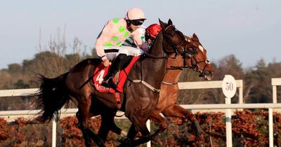 Willie Mullins' Sharjah on the sidelines as hip injury scuppers Champion Hurdle bid