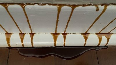 Heatwave leads to historic hive meltdown inside Perth wall cavity