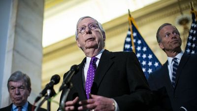 McConnell: It is "not the job" of the RNC to single out GOP lawmakers