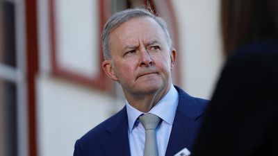 Labor will back the government's religious discrimination bill, will attempt to include trans protections in Senate