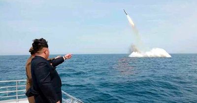 North Korea in terrifying boast it can 'shake the world' with nuclear-capable missiles