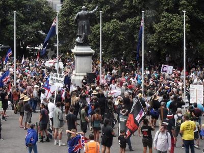 COVID protest occupies NZ parliament lawns