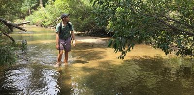 The stunning recovery of a heavily polluted river in the heart of the Blue Mountains World Heritage area