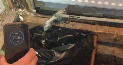 Scots mum 'living in rat-infested hell house' in Glasgow for six years