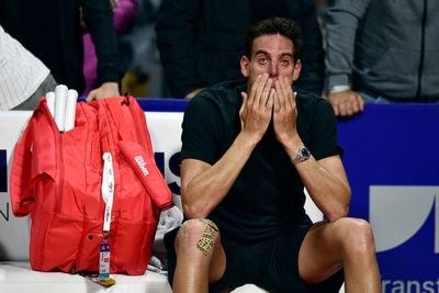 Argentina’s Juan Martin del Potro loses to countryman in emotional ATP return