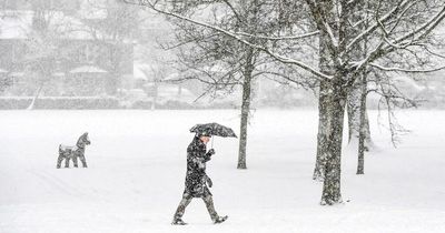 UK snow forecast: Urgent warning for 2 days of snow showers causing travel chaos
