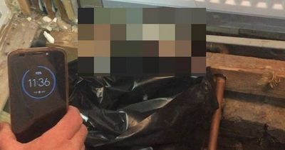 Glasgow mum 'living in hell' after being plagued with rats for six years