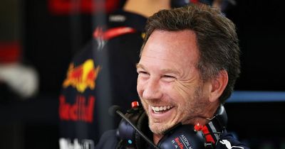 Red Bull chief Christian Horner pays £4k for '20-person' Mercedes factory tour
