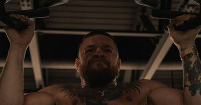 Conor McGregor fans claim to see more than they bargained for in UFC star's latest post