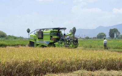 Tamil Nadu farmers demand permanent ban on genetically modified foods