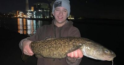 The joy of Indiana’s Fish of the Year: Hornyhead chub to brindled madtom to blue sucker; and Stray Cast