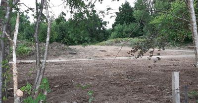 Certificate rejected for controversial vacant Stirling caravan site
