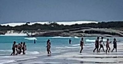 Woman, 20, forced to swim 200m to shore after 'Great White Shark' attacked her in sea