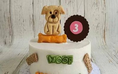 Slice a healthy carrot-chicken pupcake for your dog’s next birthday