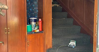 Edinburgh woman transforms 'dingy' hallway into vibrant dream for under £100