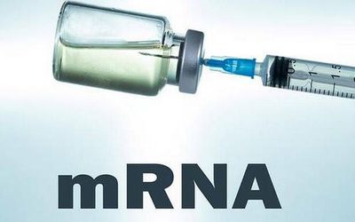 India’s first mRNA COVID-19 vaccine likely to be rolled out by April