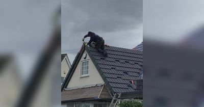 Roofing boss fined after passerby snaps photo