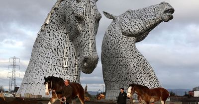 The real-life Clydesdale horses that inspired the iconic Kelpie sculptures