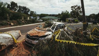 Call for inquiry into west Belconnen storm response
