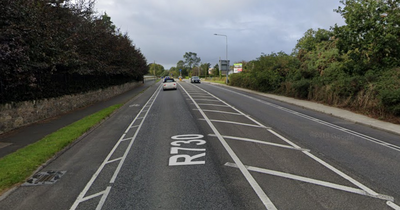 Gardai rush to the scene after man, 30s, dies in motorcycle crash in Co Wexford