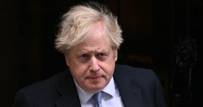 Boris Johnson names ex-private health firm chief as No10's new 'Chief Operating Officer'