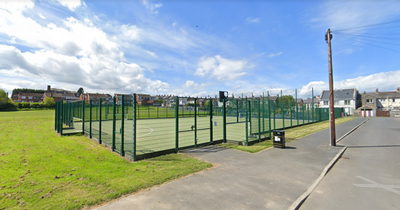 Bangor MUGA pitch dog mess should be dealt with by enforcement, councillors told