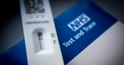Free Covid lateral flow tests will continue - but end date could be confirmed in weeks