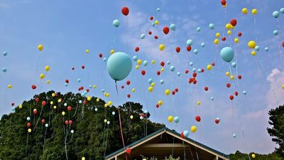 Environmentalist Karen Joynes pressures NSW Government for balloon release ban with petition
