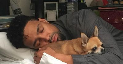 Ashley Banjo heartbroken after his beloved chihuahua dog KP dies