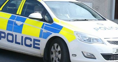 Appeal for information after BMW dragged officer to the ground while fleeing checkpoint