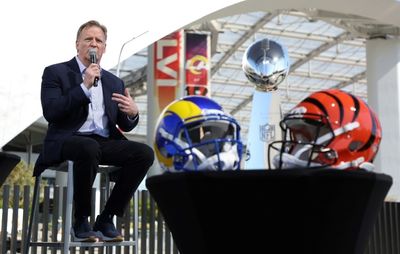 NFL to review minority hiring after race storm: Goodell