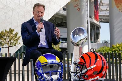 Goodell says league won’t tolerate racism or discrimination